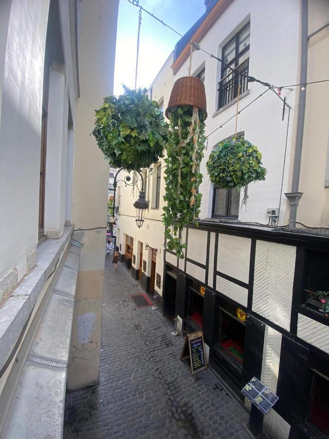 Duplex Apartment *